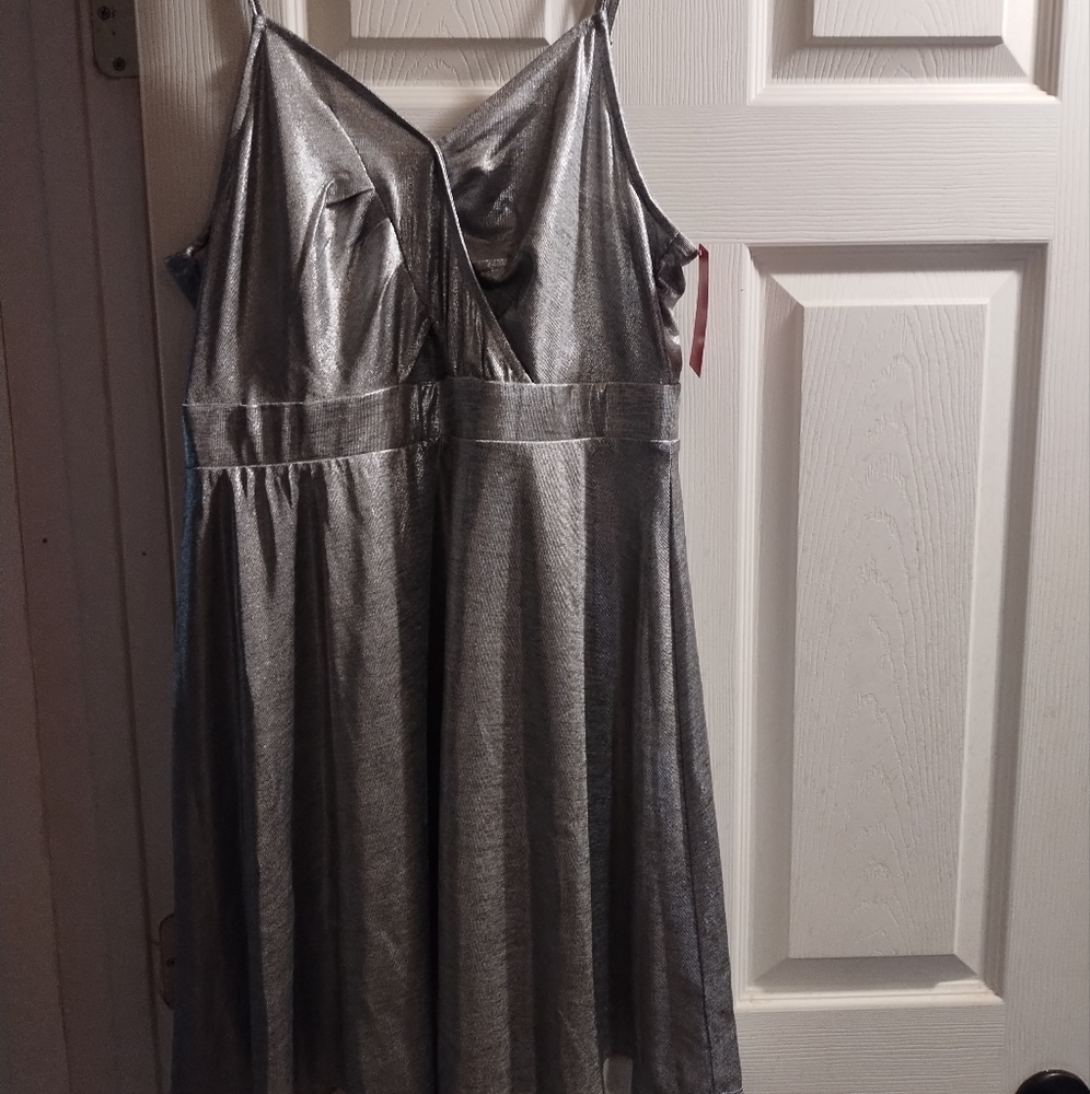 NWT Exhilaration Silver Metallic Dress